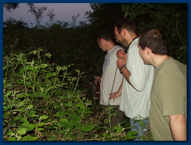 600x449 pixels (141K)